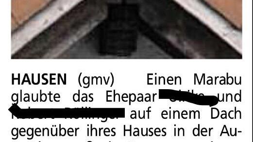 Die Klarstellung der Leser: Ein Graureiher       -  Kundige Leser erkennen im vermeintlichen Marabu einen Graureiher. Darunter auch der Tadel eines Lesers, der an dem Ehepaar hängen bleiben könnte. Doch die Verantwortung für die Veröffentlichung liegt bei der Redaktion.....  Deshalb soll das Ehepaar nicht erneut namentlich mit dem Tadel belastet werden.