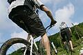 Eine geführte Tour durch den Bike- wald Spessart mit Übernachtung findet im Juli statt.