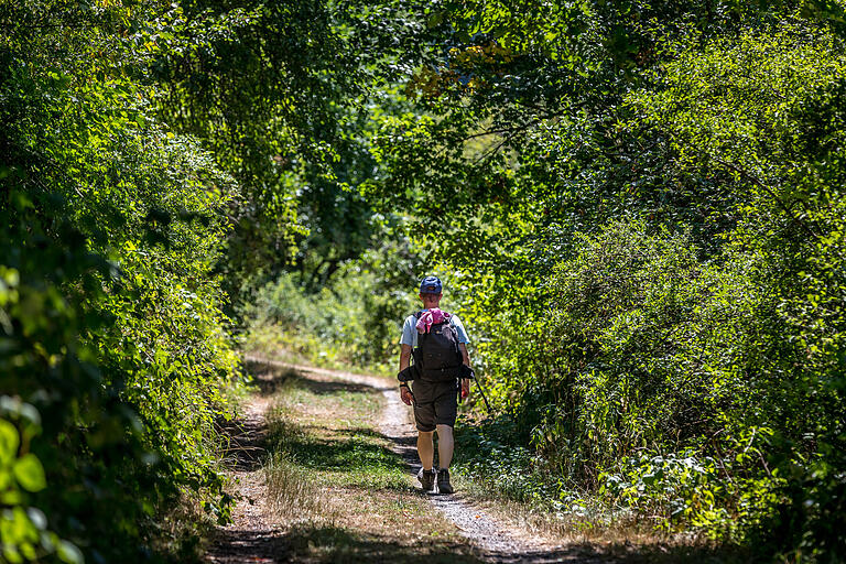 Die Route schlängelt sich auf einem Höhenweg an der Tauber entlang. Die Route schlängelt sich auf einem Höhenweg an der Tauber entlang.