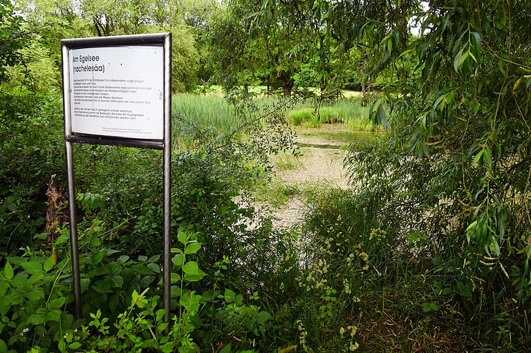 Am Nagelesee kann man dem Froschkonzert lauschen. Am Nagelesee kann man dem Froschkonzert lauschen.