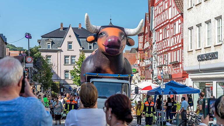 Ein fünf Meter hoher Ochse zog im vergangenen Jahr mit der Ochsen-Parade durch Ochsenfurt.&nbsp;