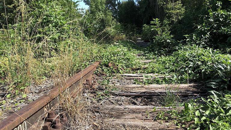 Die Freien Wähler wollen im Landtag die Wiederbelebung alter Bahnstrecken erleichtern - hier die Steigerwaldbahn bei Gerolzhofen.