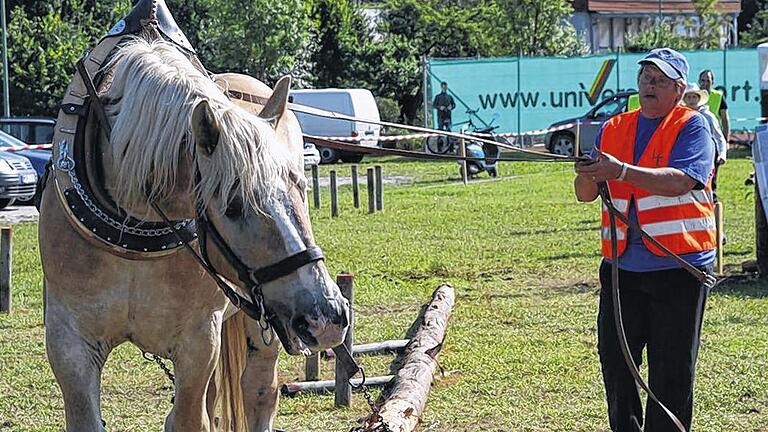 Kraft und Geschick: Bei der Bayerischen Meisterschaft im Holzrücken in Rieneck bewiesen Mensch und Pferd Teamgeist.