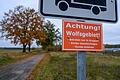 Wölfe in Deutschland       -  In Deutschland sind 209 Wolfsrudel nachgewiesen. (Archivbild)