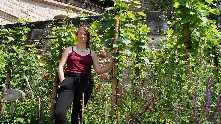 Weinanbau mitten in der Nürnberger Altstadt: Für die Flaschen wird Künstlerin Lisa Wölfel die Etiketten gestalten. Weinanbau mitten in der Nürnberger Altstadt: Für die Flaschen wird Künstlerin Lisa Wölfel die Etiketten gestalten.