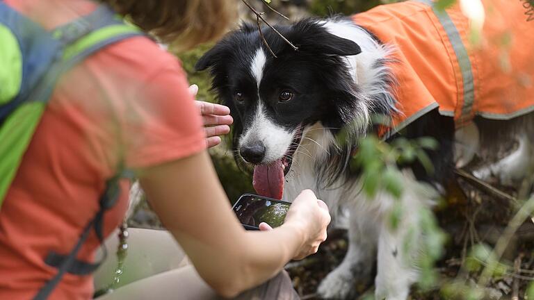 Biologin Dr. Annegret Grimm-Seyfarth spürt mit ihrem Hund Zammy im Steinbruch bei Lindelbach Kammmolche auf.