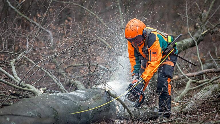 Waldarbeiter haben ihre eigene Zeichensprache. Wanderer und Spaziergänger kennen sie, doch die Deutung ist schwierig. Wir erklären in einer Auswahl, was die Zeichen an den Bäumen und Holzstapeln am Wegesrand bedeuten.
