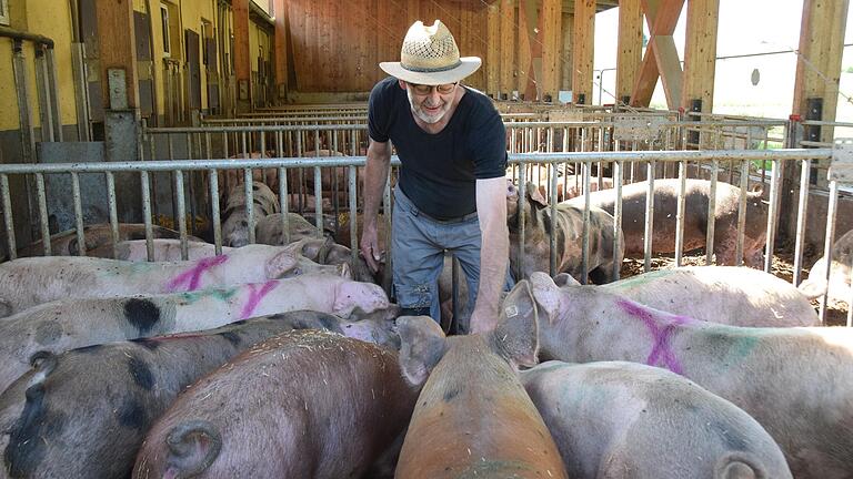 Die 'Stroh-Schweine' von Arnold Lurz besitzen schon einen höheren Qualitätsstandart, weshalb der Landwirt die Pläne des Landwirtschaftsministers im Gegensatz zu Berufskollegen für gut heißt.