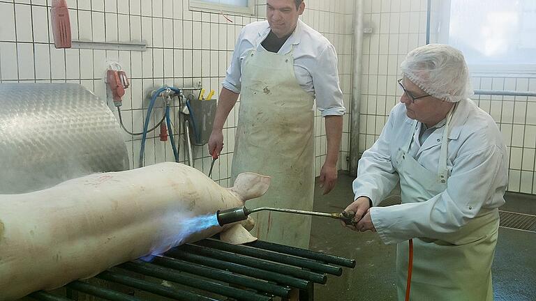 Die Arbeit im Schlachthof ist wahrscheinlich nicht vergnügungssteuerpflichtig. Dennoch muss sie getan werden. Mit Feuer mache ich hier die verbliebenen Borsten sichtbar, die anschließend mit dem Messer penibel genau abgeschabt werden. Schaut zwar nicht schön aus - aber Borsten auf dem Schweinebraten will schließlich niemand. Die Arbeit im Schlachthof ist wahrscheinlich nicht vergnügungssteuerpflichtig. Dennoch muss sie getan werden. Mit Feuer mache ich hier die verbliebenen Borsten sichtbar, die anschließend mit dem Messer penibel genau abgeschabt werden. Schaut zwar nicht schön aus - aber Borsten auf dem Schweinebraten will schließlich niemand.