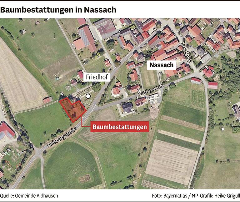 Die letzte Ruhestätte in der Natur: Die wichtigsten Infos zur Baumbestattung im Heldenhain in Nassach