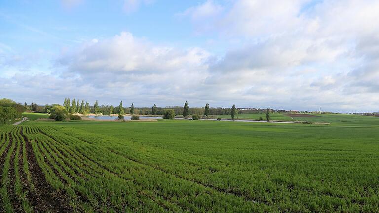 In dem gedachten Dreieck zwischen Neuer See, Mahlholz und Waldesruh, in Richtung Dingolshausen (rechts der Kirchturm), möchte das Unternehmen Südwerk die riesige Photovoltaikanlage errichten. Das Einverständnis des Eigentümers liegt zwar vor, aber nicht alle Ratsmitglieder wollen dem Vorhaben zustimmen.