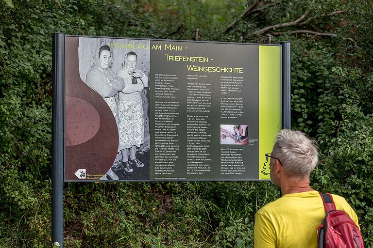 Wissenswertes für Ausflügler: Entlang des Weges gibt es Informationen über das Weinanbaugebiet. Wissenswertes für Ausflügler: Entlang des Weges gibt es Informationen über das Weinanbaugebiet.