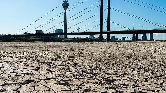 KINA - Der Sommer in 80 Jahren       -  Die Erde im Flussbett des Rheins in Düsseldorf ist aufgrund der Dürre ausgetrocknet und aufgerissen. So könnte es bald häufiger aussehen. In Zukunft nämlich dürften die Sommer oft so heiß und trocken sein wie jetzt.