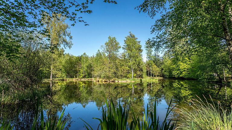 Die Landschaft rund um Rödelsee lässt sich auf verschiedenen naturnahen oder befestigten und gut ausgeschilderten Wanderwegen entdecken. Er ist Teil der Rundwanderung auf dem Wein-Kunst-Weg in Wiesenbronn. Die Landschaft rund um Rödelsee lässt sich auf verschiedenen naturnahen oder befestigten und gut ausgeschilderten Wanderwegen entdecken. Er ist Teil der Rundwanderung auf dem Wein-Kunst-Weg in Wiesenbronn.