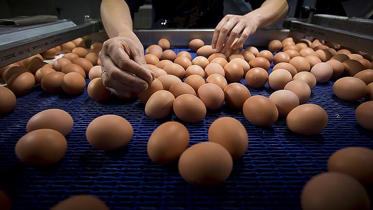 Skandal um mit Fipronil belastete Eier       -  Fipronil oder Salmonellen: Für Aufmerksamkeit sorgen oft Rückrufe von Eiern.