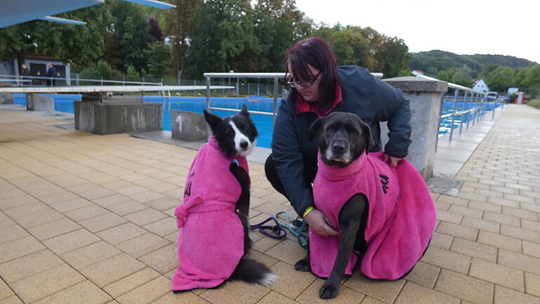 'Für jeden Hund einen eigenen Bademantel, das muss schon sein', sagte Steffi Lurz, als sie Leika (links) und Amy (rechts) in den kuscheligen Stoff einwickelte. 'Für jeden Hund einen eigenen Bademantel, das muss schon sein', sagte Steffi Lurz, als sie Leika (links) und Amy (rechts) in den kuscheligen Stoff einwickelte.