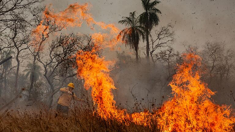 Indigene Feuerwehrleute kämpfen in Brasilien um ihr Territorium       -  Das Feuer richtet Verwüstung in der gesamten Region an.