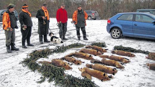Letzte Ehre für Reinecke Fuchs: Aufgereiht liegen die erlegten Füchse da. Traditionell erklangen die Jagdhörner der Jäger an der Strecke. Rechts im Bild Hegeringleiter Harald Müller. Letzte Ehre für Reinecke Fuchs: Aufgereiht liegen die erlegten Füchse da. Traditionell erklangen die Jagdhörner der Jäger an der Strecke. Rechts im Bild Hegeringleiter Harald Müller.