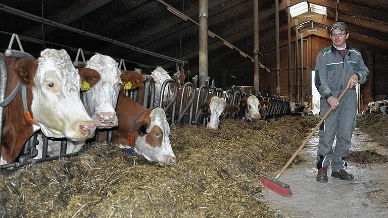 Füttern und Geld drauflegen: Das ist die Situation bei den Milchbauern angesichts niedriger Milchpreise, sagt der Friesenhäuser Landwirt Martin Gleichmann. (Archivbild vom November 2015).