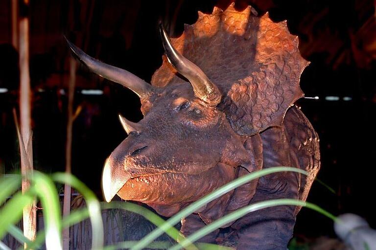 30 Dinosaurier-Arten sollen in Veitshöchheim gezeigt werden. 30 Dinosaurier-Arten sollen in Veitshöchheim gezeigt werden. 