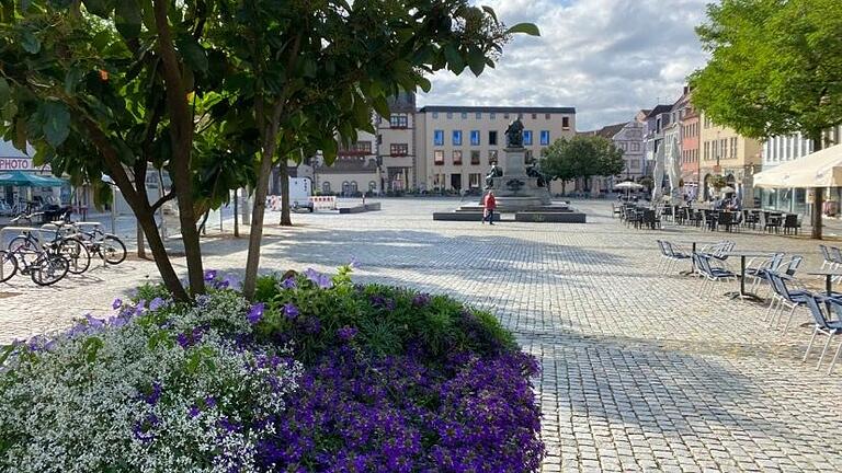 Ein Begrünungskonzept für die Inennstadt und den Marktplatz in Schweinfurt fordert die SPD.