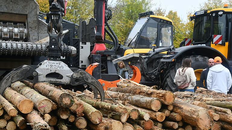 Beim Holztag in Scheinfeld wurden viele Maschinen zur Holzverarbeitung gezeigt.