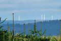 Die Stadt Gemünden ist bereit, sich für mehr Windkraft auf Stadt- und Landkreisgebiet einzusetzen.