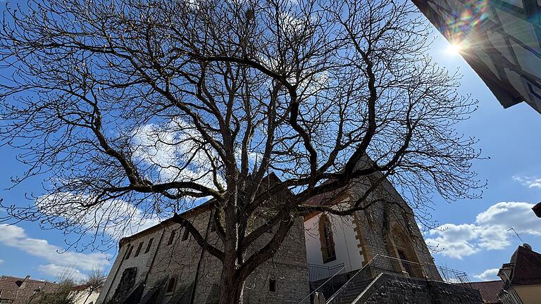 Die nächste Kirchenburg steht in Tiefenstockheim. Einmal umrundet, dann geht es weiter ins Breitbachtal. Die nächste Kirchenburg steht in Tiefenstockheim. Einmal umrundet, dann geht es weiter ins Breitbachtal.