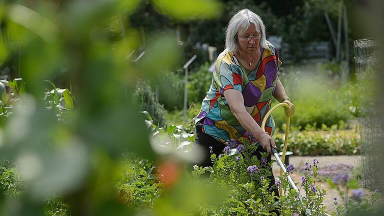Wassersparende Beetbepfanzung - Holt die Natur zurück vor die Haustüre: Gartenbauingenieurin Marianne Scheu-Helgert von der Bayerischen Gartenbauakademie in Veitshöchheim. Wassersparende Beetbepfanzung - Holt die Natur zurück vor die Haustüre: Gartenbauingenieurin Marianne Scheu-Helgert von der Bayerischen Gartenbauakademie in Veitshöchheim.