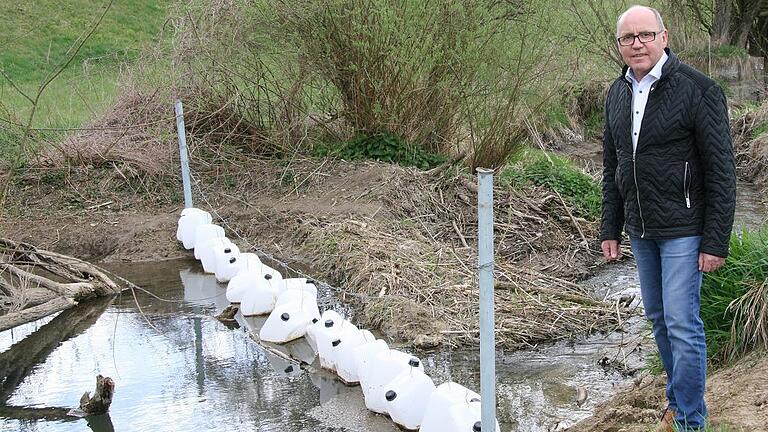 Mit einem Damm im Aschbach hat der Biber das nebenan gelegene Trinkwassergewinnungsgebiet geflutet. Die Leine mit den Plastikkanistern dienen der Vergrämung des Bibers, damit er nicht weiterbaut. Das hat gewirkt, berichtet Eußenheims Bürgermeister Dieter Schneider. Mit einem Damm im Aschbach hat der Biber das nebenan gelegene Trinkwassergewinnungsgebiet geflutet. Die Leine mit den Plastikkanistern dienen der Vergrämung des Bibers, damit er nicht weiterbaut. Das hat gewirkt, berichtet Eußenheims Bürgermeister Dieter Schneider.