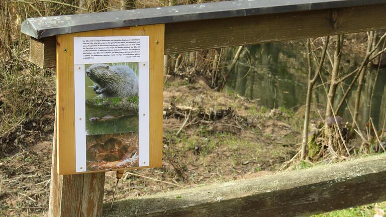 Die Biber-Infotafel am Fahrradweg von Partenstein nach Frammersbach. Die Biber-Infotafel am Fahrradweg von Partenstein nach Frammersbach.