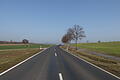 Links und rechts der Straße von Zell nach Sand sollen nach der Autobahn große Photovoltaikanlagen entstehen.