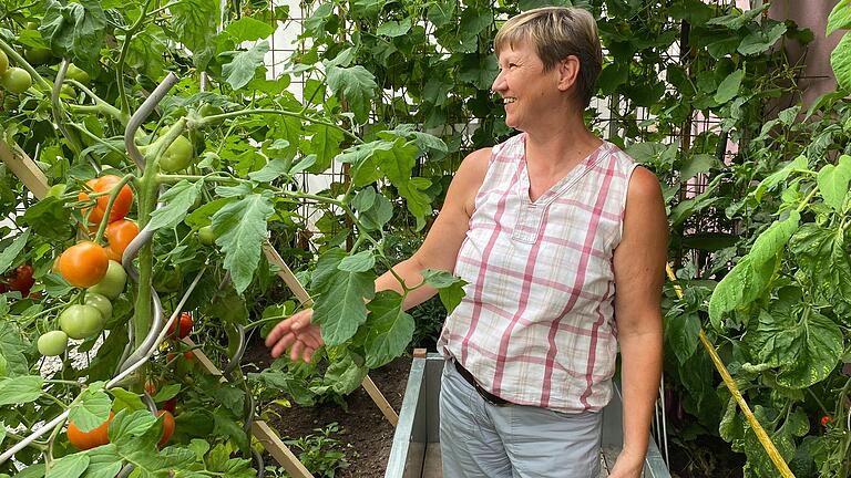 In ihrem Gewächshaus baut Bärbel Imhof Tomaten und Chilis an.