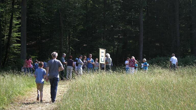 Waldtag       -  Informationen und Aktionen für die Besucher bot der Waldtag des Steigerwaldzentrums in Handthal.