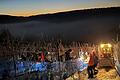 Eiswein-Lese am Weinberg Ruppert im Trautlestal.
