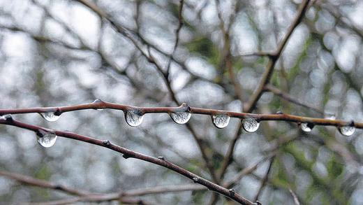 Unendliche Schönheit       -  &bdquo;Die Natur malt uns Bilder unendlicher Schönheit, Tag für Tag, wenn wir nur Augen haben, sie zu sehen.&ldquo; Diese Worte des britischen Schriftstellers und Malers John Ruskin belegt die Aufnahme unseres Fotografen, die bei einer Wanderung zwischen Hambach und Oberwerrn entstanden ist. Die Schönheit der Natur ist hier fotografisch perfekt eingefangen.
