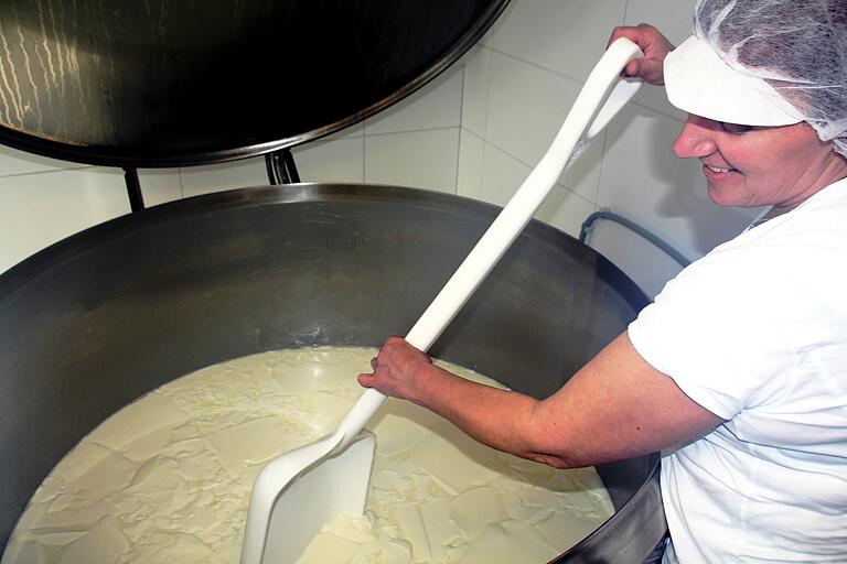 Bei der Käsezubereitung, wie hier von Camembert, im Milchpasteur der eigenen Hofkäserei ist Annette Götz ganz in ihrem Element. Bei der Käsezubereitung, wie hier von Camembert, im Milchpasteur der eigenen Hofkäserei ist Annette Götz ganz in ihrem Element.
