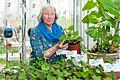 Tolle Knollen: Die Leiterin der Bayerischen Gartenakademie in Veitshöchheim, Marianne Scheu-Helgert, mag Süßkartoffeln.