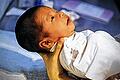 Firmen & Fakten: Chinas Wirtschaft um 7,8 Prozent gewachsen       -
