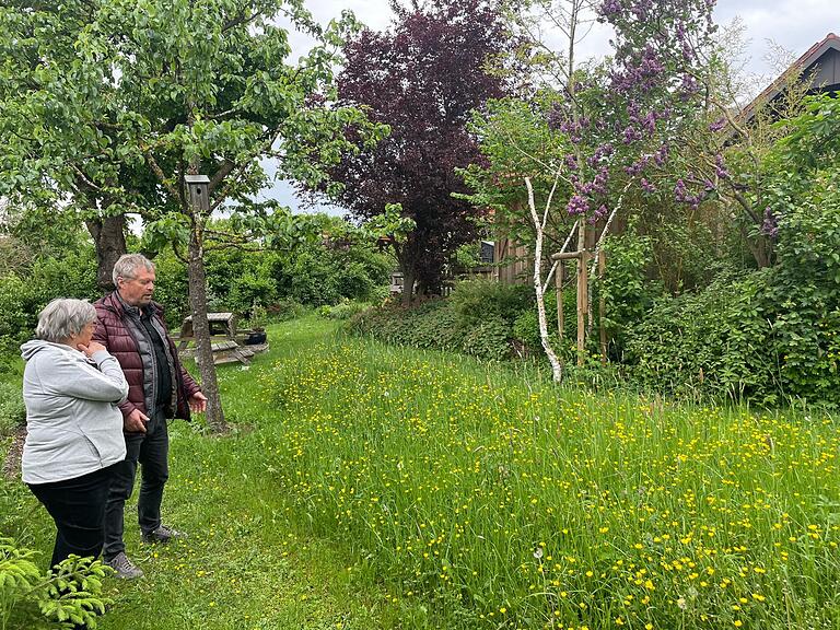 Im Naturgarten der Gerbers gibt es eine Blütenwiese und viele heimische Bäume und Hecken.