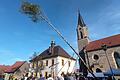 Auf dem Kirchplatz in Obertheres stellten aktive und ehemalige Mitglieder des Clubs der 12 Geheimen den Maibaum auf.
