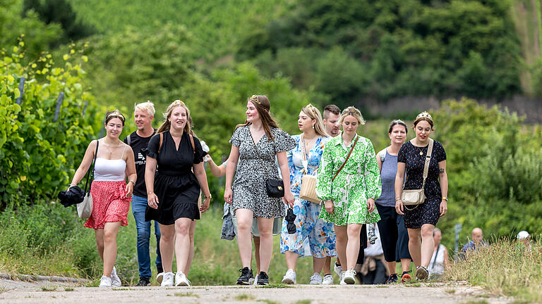 Weinwandertag in Homburg am Main       -  Dichte Bewölkung, gelegentliche Nieselschauer und Temperaturen um 22 Grad locken am Sonntag (30.06.24) einige Wein- und Wanderfreunde nach Homburg am Main, wo der Winzer- und Weinbauverein zum Weinwandertag einlud.
