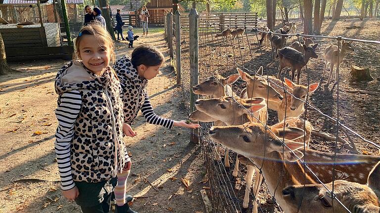 Tiere füttern macht Spaß: Der Sommerhäuser Tierpark ist immer ein beliebtes Ausflugsziel. Tiere füttern macht Spaß: Der Sommerhäuser Tierpark ist immer ein beliebtes Ausflugsziel.
