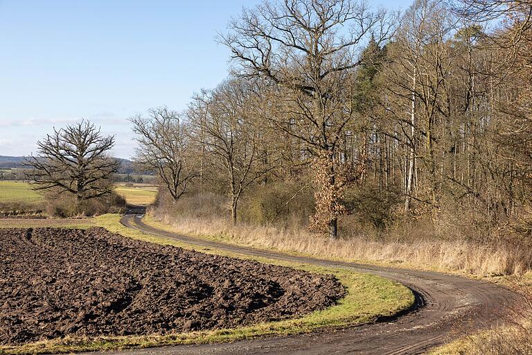 Wanderung auf der Erlebnistour 'Natur trifft Kultur' in den Haßbergen. Naturliebhaber kommen auf der Wanderung voll auf ihre Kosten. Wanderung auf der Erlebnistour 'Natur trifft Kultur' in den Haßbergen. Naturliebhaber kommen auf der Wanderung voll auf ihre Kosten.