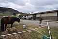 Der Reitverein Lohr muss einige seiner Außenflächen an der Reithalle für den Klinikneubau abgeben.&nbsp;