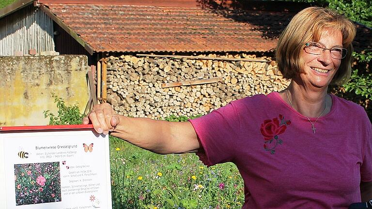 Ortssprecherin Ruth Fleischmann erläuterte die einzelnen Arbeitsschritte und enthüllte die Informationstafel, auf der alle wichtigen Arbeiten und die mit der Ausführung Betrauten benannt sind. Ortssprecherin Ruth Fleischmann erläuterte die einzelnen Arbeitsschritte und enthüllte die Informationstafel, auf der alle wichtigen Arbeiten und die mit der Ausführung Betrauten benannt sind.