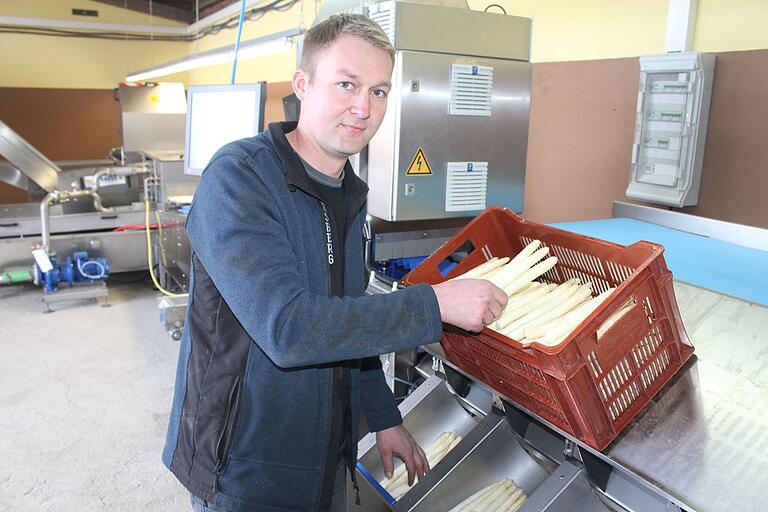 Der erste Spargel wird auf dem Hof von Christian Pretscher in Unterspiesheim bereits für den Verkauf fertig gemacht. Der erste Spargel wird auf dem Hof von Christian Pretscher in Unterspiesheim bereits für den Verkauf fertig gemacht.