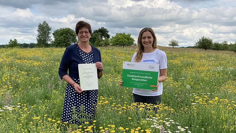 In der Kategorie Kooperationen gewann das Projekt 'Biogas Blühfelder' aus Rhön-Grabfeld den ersten Preis im Bundeswettbewerb 'Land.Vielfalt.Leben'.&nbsp;Kreisbäuerin Margit Ziegler nahm stellvertretend für alle Beteiligten den Preis gemeinsam mit Projektbetreuerin Michaela Stäblein entgegen.
