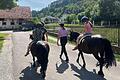 Im Rahmen des Ferienprogrammes der Kreisstadt Tauberbischofsheim konnten am Nachmittag die Kinder sogar auf Ponys reiten.&nbsp;