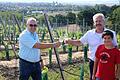 Bürgermeister Volker Schmitt (links) ist stolz darauf, dass Schwarzach eine Weinbaugemeinde ist. Verantwortlich dafür ist Hobbywinzer Norbert Bergmann, der das Gemeindeoberhaupt zusammen mit Sohn Felix bei einem Ortstermin im Wengert traf.